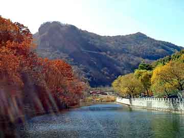 澳门期期准免费精准，大叶女贞产地